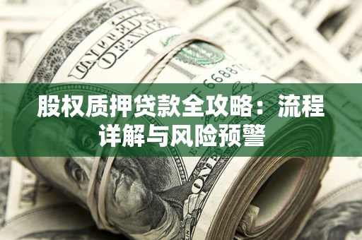 北京股权质押贷款全攻略：流程详解与风险预警