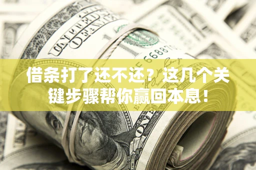 北京借条打了还不还？这几个关键步骤帮你赢回本息！